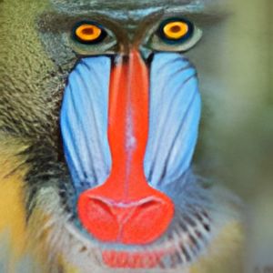 baboon sounds mp3 baboon sounds mp3